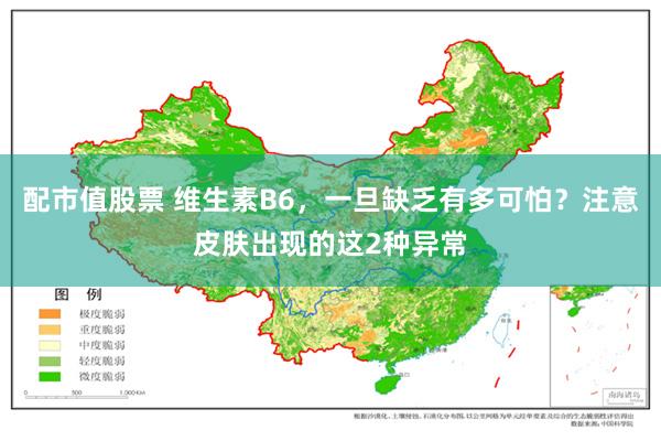 配市值股票 维生素B6，一旦缺乏有多可怕？注意皮肤出现的这2种异常