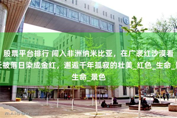 股票平台排行 闯入非洲纳米比亚，在广袤红沙漠看沙丘被落日染成金红，邂逅千年孤寂的壮美_红色_生命_景色