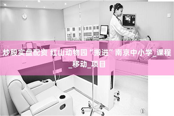 炒股实盘配资 红山动物园“搬进”南京中小学_课程_移动_项目