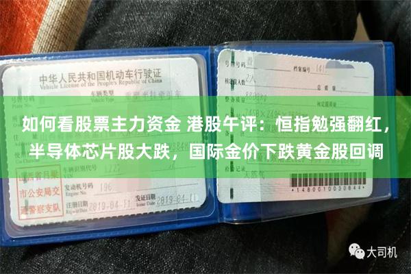 如何看股票主力资金 港股午评：恒指勉强翻红，半导体芯片股大跌，国际金价下跌黄金股回调