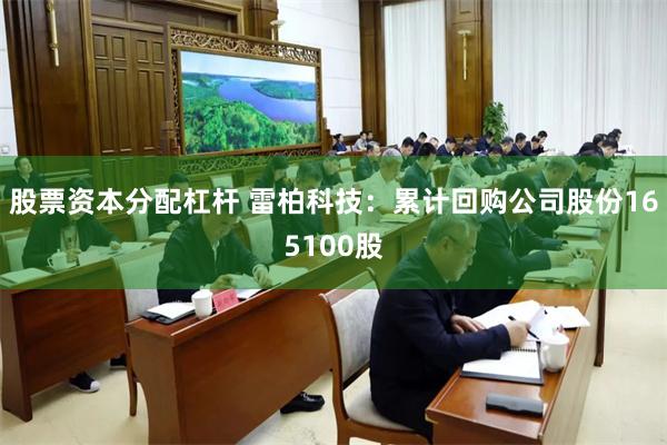 股票资本分配杠杆 雷柏科技：累计回购公司股份165100股