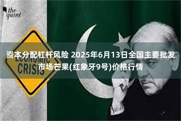 资本分配杠杆风险 2025年6月13日全国主要批发市场芒果(红象牙9号)价格行情