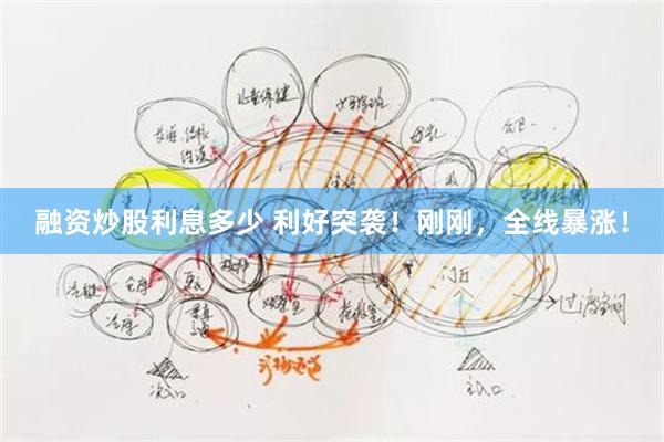融资炒股利息多少 利好突袭！刚刚，全线暴涨！