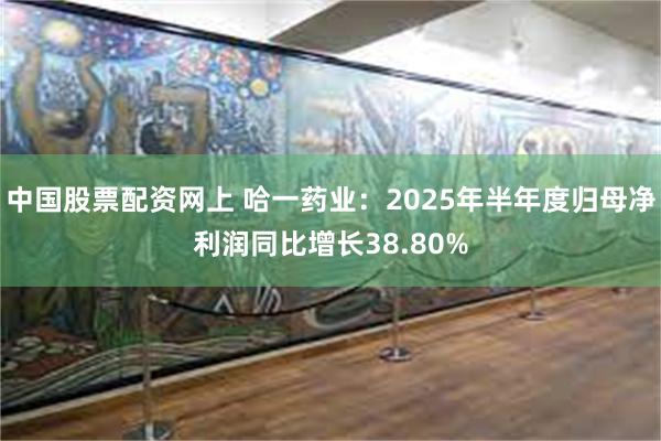 中国股票配资网上 哈一药业：2025年半年度归母净利润同比增长38.80%